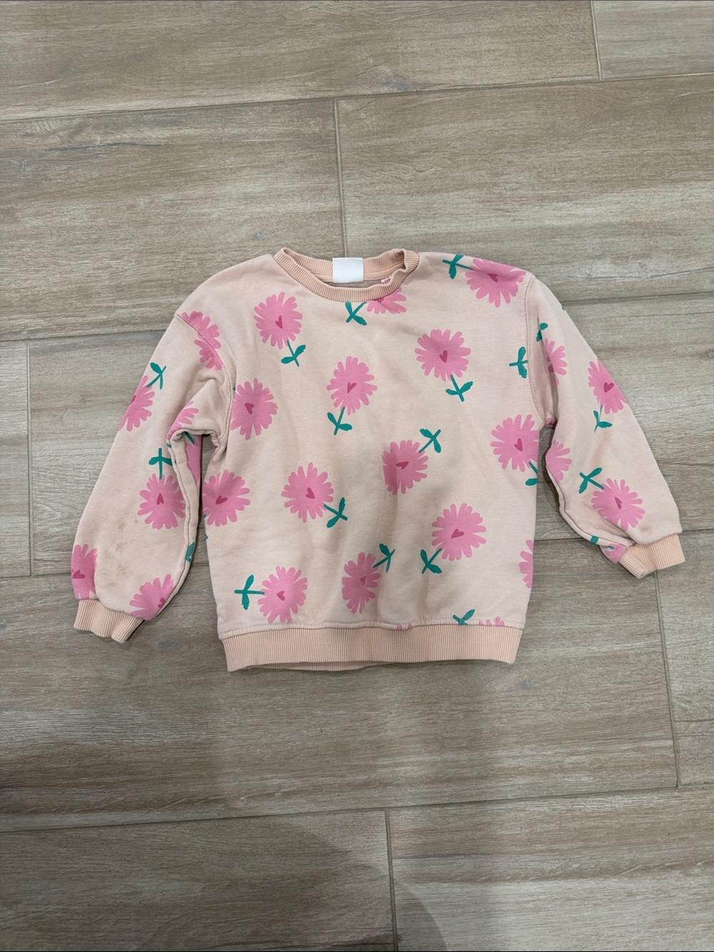 Zara Pink Floral Sweatshirt with Green Accents
